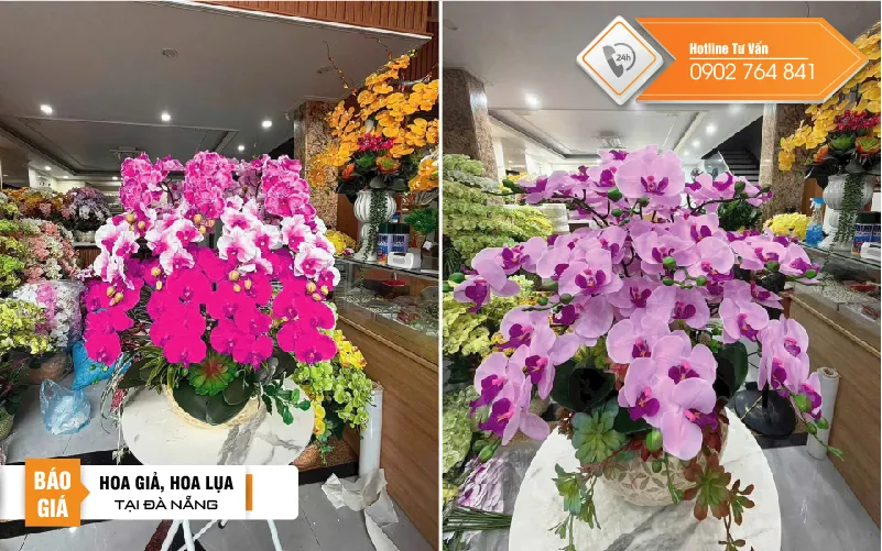 hoa lan giả tại đà nẵng