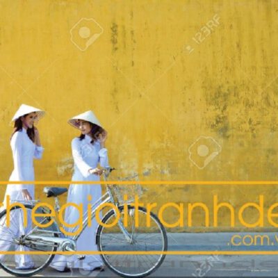 Tranh treo tường thiếu nữ Việt 2